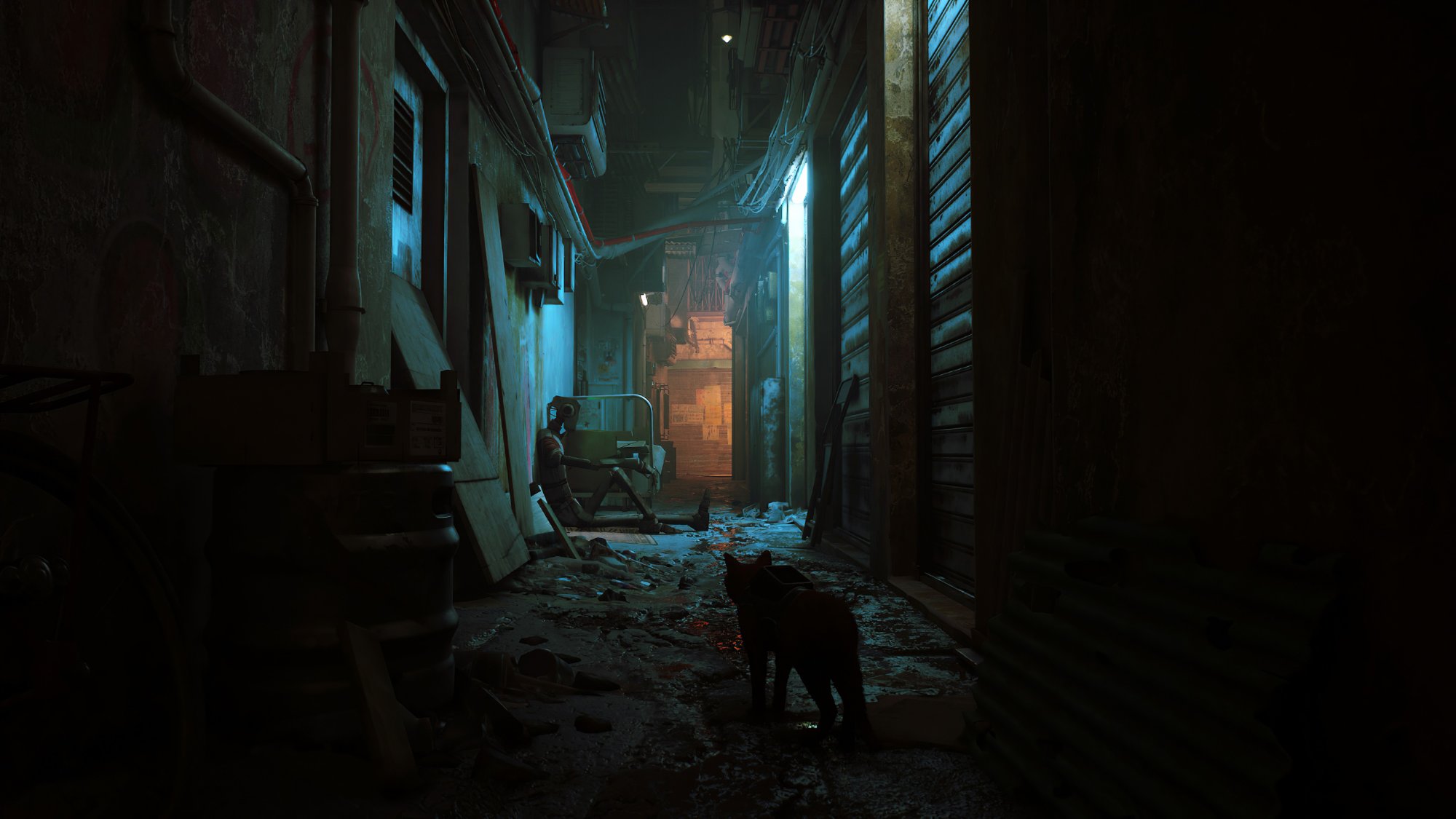 Narrow dark alley with cat