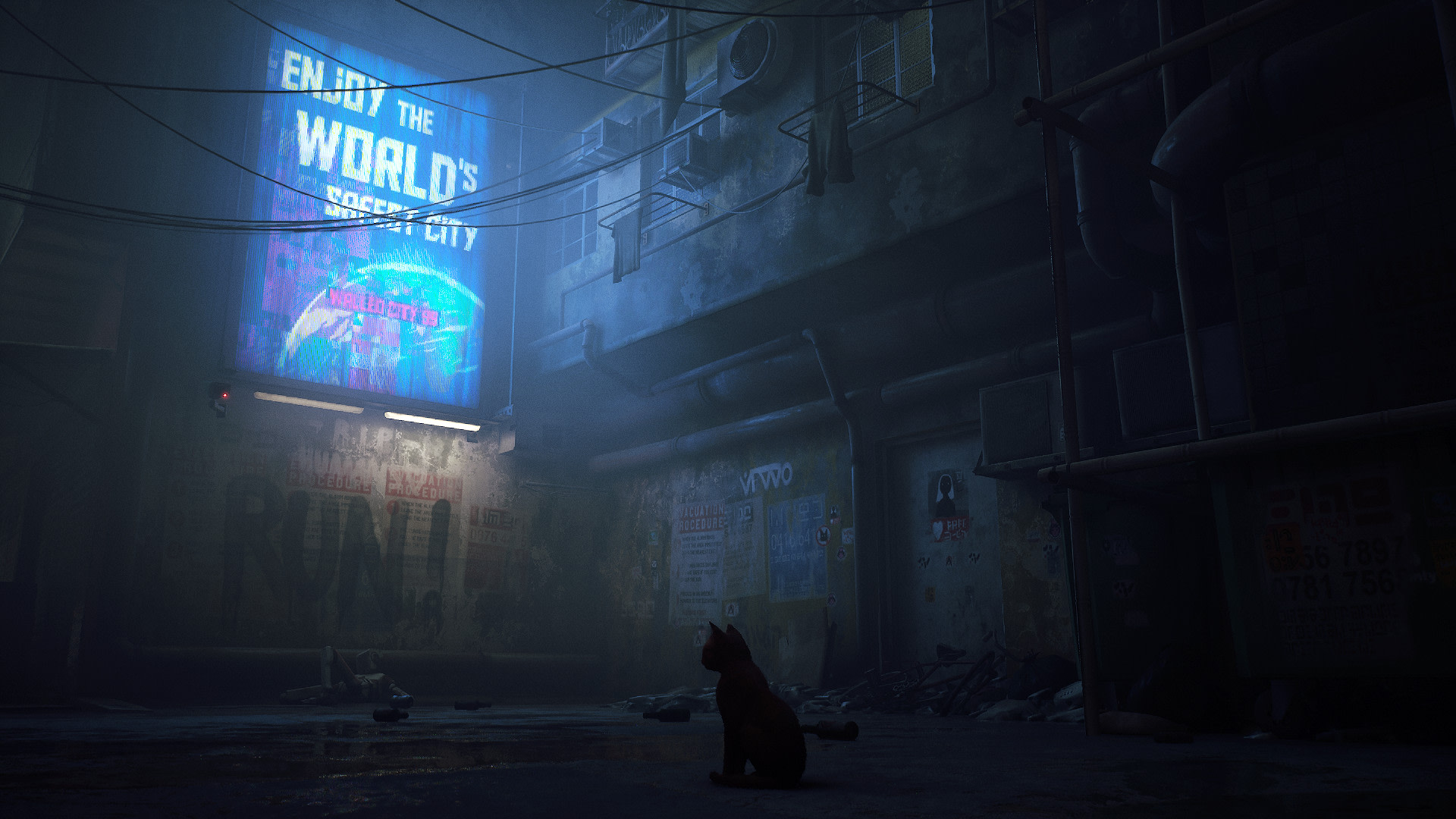 A robot gently petting the stray cat in neon city